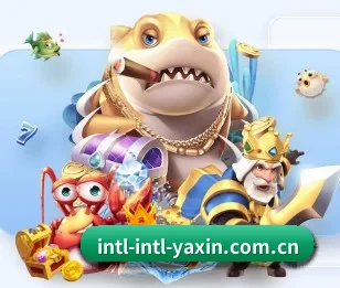 关于我们 - 体育资讯内容服务（yaxin）